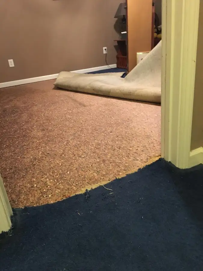 Carpet pad removal revealing water damage during Water Mitigation Services in Beaufort