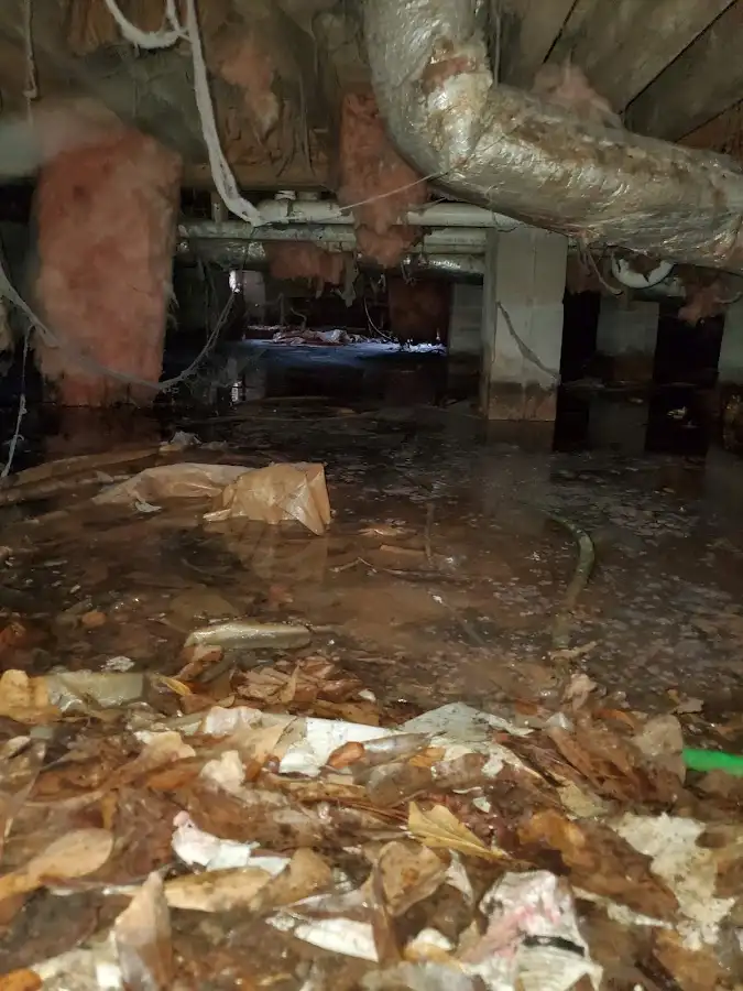 Crawl space flood assessment for Leak Detection & Repair in Beaufort